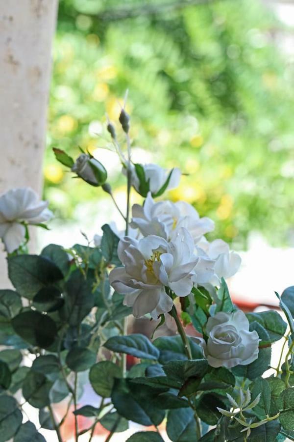 Beautiful Studio in traditional Afytos Halkidiki-UVC sterilized Exterior foto